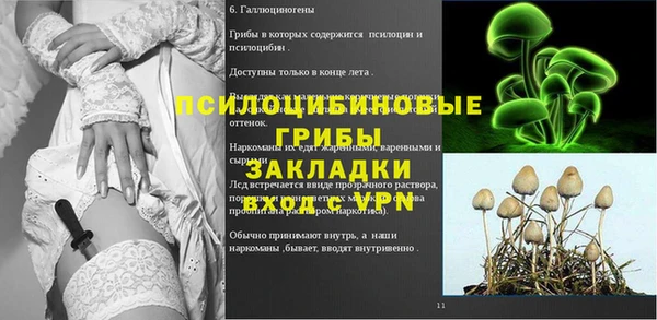 соль ск Богородицк